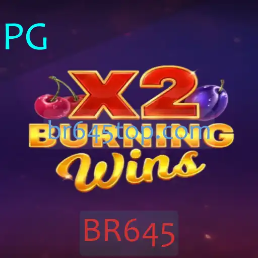 Explorando o Fascinante Mundo de BurningWinsX2: Regras e Introdução ao Jogo